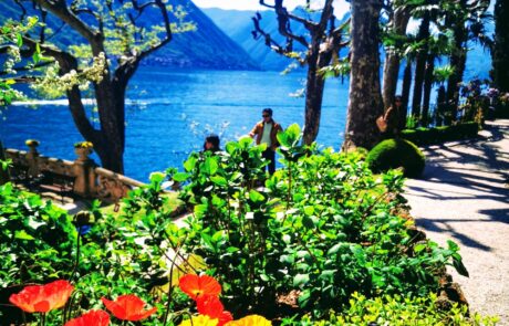 IMG_20220418_142601-EFFECTS-scaled