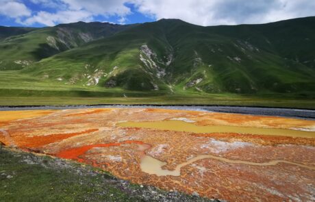 IMG_20220712_121654-scaled