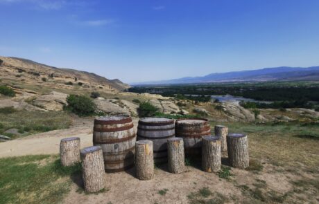 IMG_20220715_161518-scaled