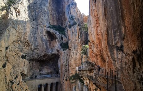 IMG_20230202_105013-scaled