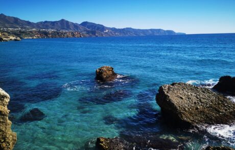 IMG_20230204_115421-scaled