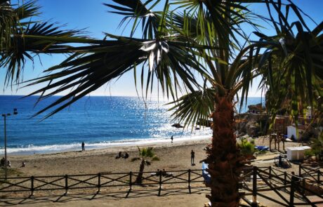 IMG_20230204_120830-scaled