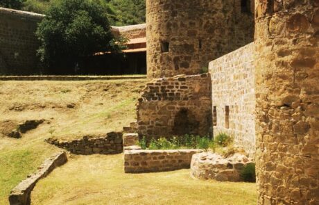 IMG_20230709_121041-scaled