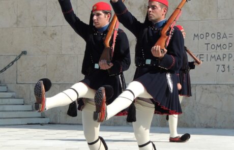 goose-step-382544_1280